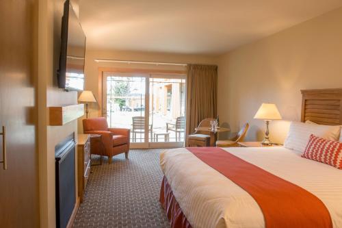 Premier Studio King Room, 1st Floor, Pets Allowed