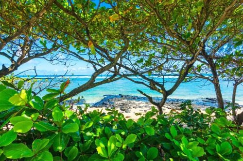 Anini Ohana Estate TVNC#4255 - image 6