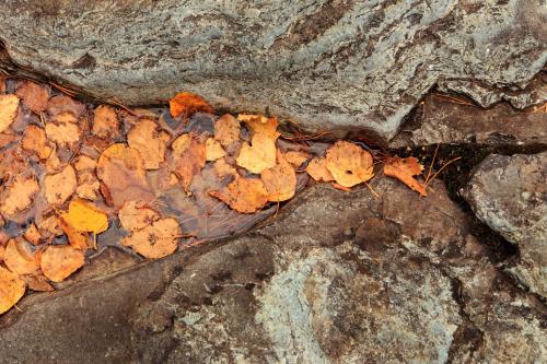 Saddle Ridge I2 - image 6
