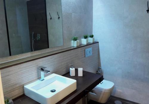 Penthouse Apartment image 9