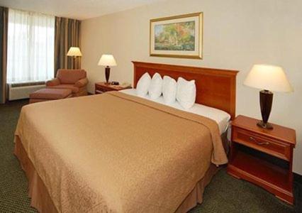 Quality Inn & Suites McDonough South I-75, McDonough (fotografie 9)