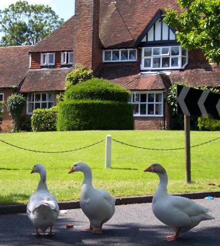 The Brickwall Hotel - image 13