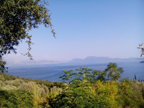  Nikostudios in Nikiana