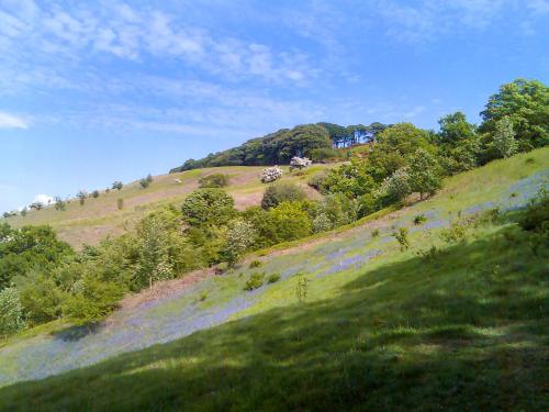 Woodman Cottage Skipton - image 14