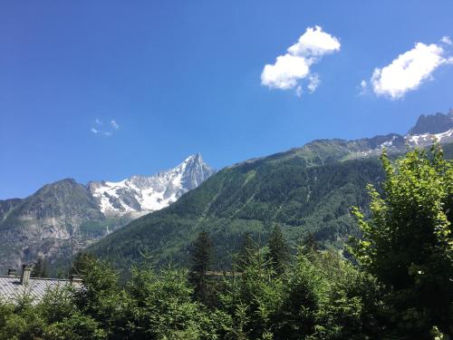 Appart'Hotel Aiguille Verte & Spa - image 9