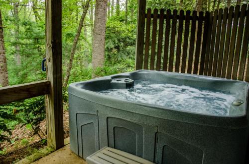 Asheville Cabins of Willow Winds - image 7