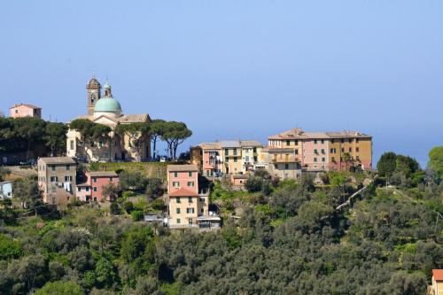 Villa Olivari - apt il Cedro