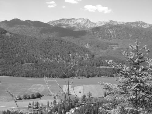 Landhotel zum Staffelwirt