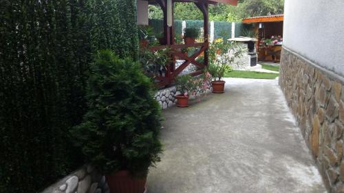 Albena Guest Rooms