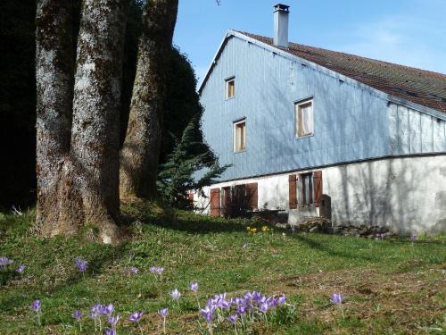 Accommodation in La Montagne