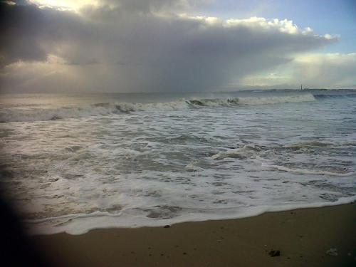 Навколишнє середовище, Seascape Largo in Ландін Лінк