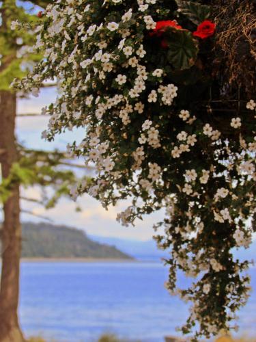 Heron's Landing Hotel in Campbell River, Canada