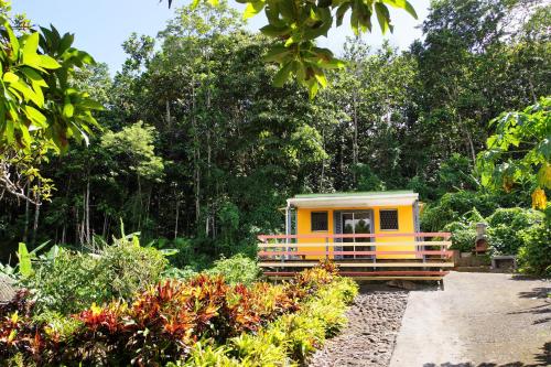 tuin, DOMAINE de VALCINE 3 gites parc et piscine a 4 mn de la distillerie DBM, des 1er commerces et de la  in Sainte Rose