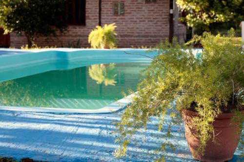 Dārzs, Hotel de Campo El Rebenque in Avia Terai