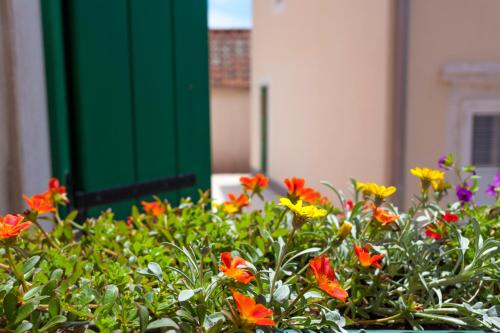 Apartments Linda - image 14