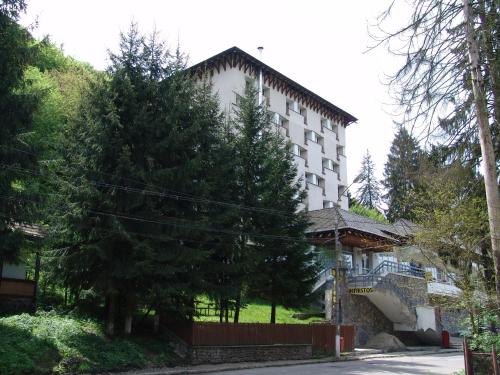 Hotel Hefaistos - Sovata - image 7