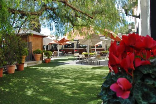 Hotel El Castell - image 7