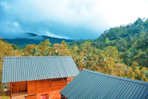 Sinharaja Forest Gate in Kotapola