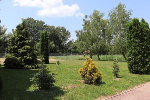  Liget Apartmanház in Kehidakustány