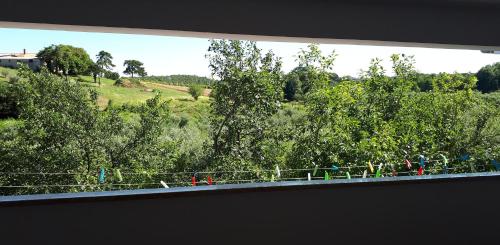 Apartments Lea - image 9