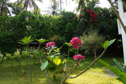 Twin Villas Apartment with Swimming Pool for 2 houses Twin Villas Apartment with Swimming Pool for 2 houses