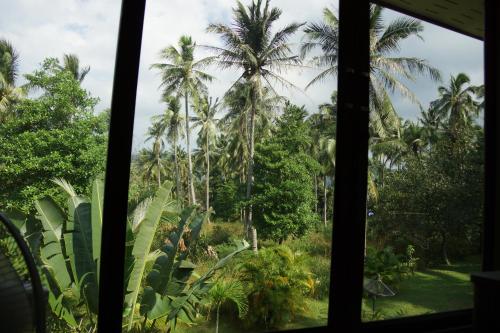 Twin Villas Apartment with Swimming Pool for 2 houses Twin Villas Apartment with Swimming Pool for 2 houses