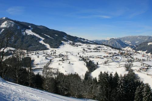 Hotel-Café Perner - image 10