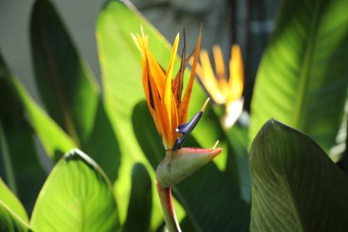 Pouso Dos Anjos - image 10