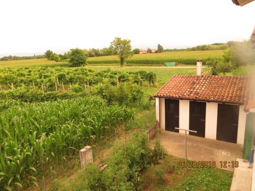 Double Room with Shared Toilet