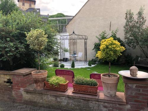 Das Moevennest Das Moevennest