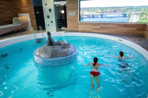 Imatran Kylpylä Spa Apartments - image 8