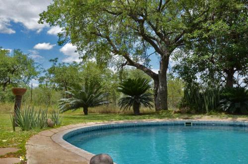 Swimming pool, Tingala Lodge - Bed in the Bush in Kruger National Park