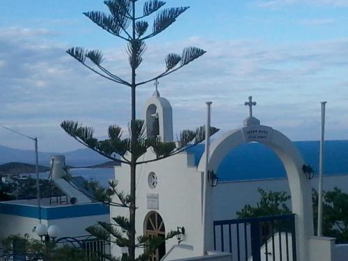  Florans Azolimnos in Azolimnos