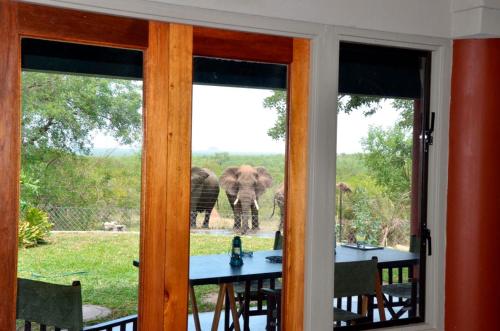 Tingala Lodge - Bed in the Bush Kruger National Park