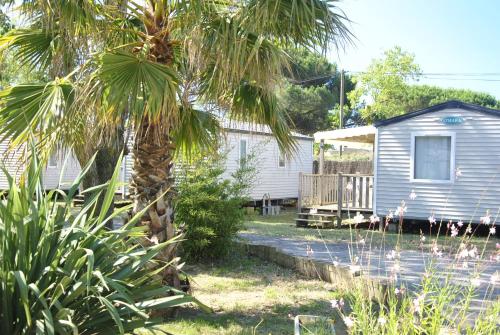 Camping La Dune photo 22