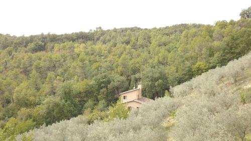 Agriturismo Il Casaletto