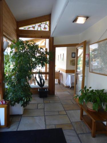 Hotel Les Chenets in Saint-Julien-en-Champsaur