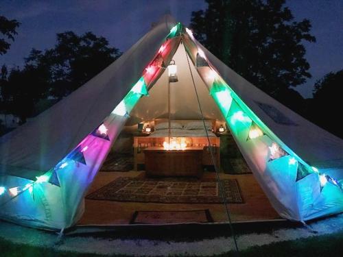 Camping La Foret de Tesse