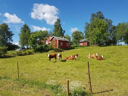 Accommodation in Släthult