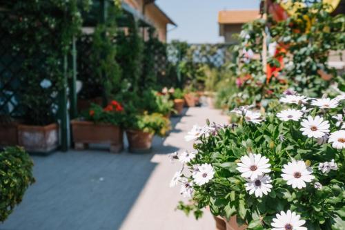 Hotel Cala Di Forno