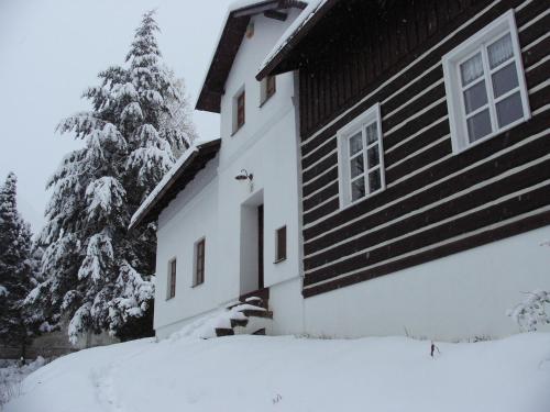 Penzion Olesnice – Zlatá Olešnice, IN