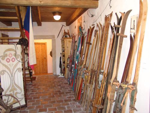 Penzion Olesnice in Zlata Olesnice