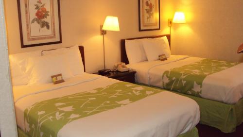 Deluxe Double Room with Two Double Beds