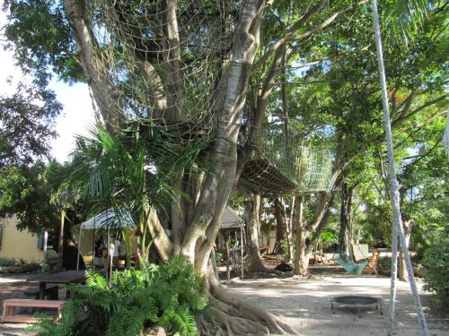 Hoosville Hostel (Formerly The Everglades Hostel) - image 4