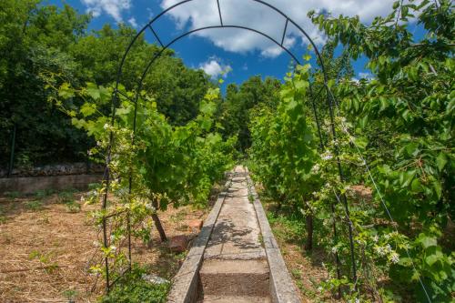 Organic Gardens Villa