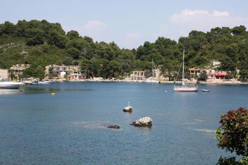 Seaside holiday house Okuklje Mljet - 4943 - image 5