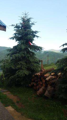  Kumbet Chalet in Kumbet