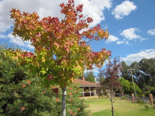 bridgetown valley lodge