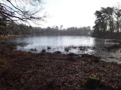  Vosseven 15 Haasje in Stramproy