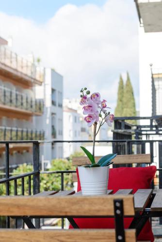 Apartment with Balcony